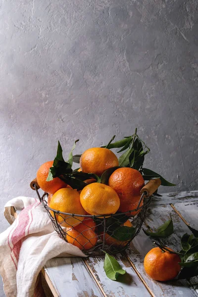 用树叶柑橘 — 图库照片