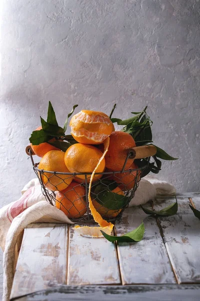 用树叶柑橘 — 图库照片