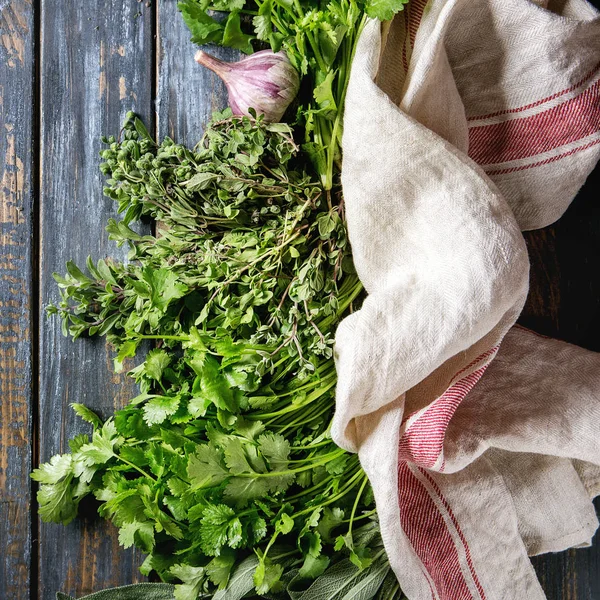 Variety of herbs — Stock Photo, Image