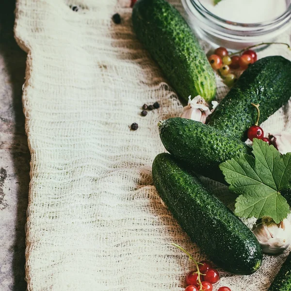 Fresh cucumbers prepared for pickling — Stock Image Fresh cucumbers prepared for pickling Stock Photo