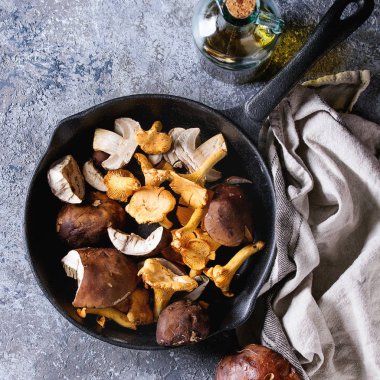 Porcini boletus ve chanterelles mantar