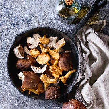 Porcini boletus and chanterelles mushrooms clipart