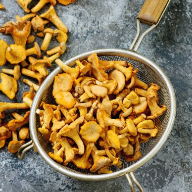 Orman mantar Cantharellus cibarius