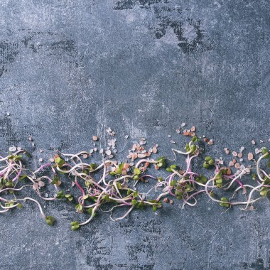 Genç tuz ile lahanası