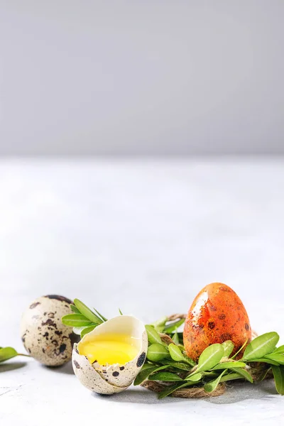 着色された卵をイースター カード — ストック写真