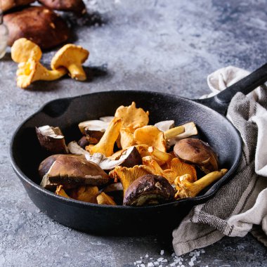 Porcini boletus ve chanterelles mantar