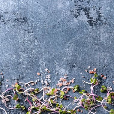 Genç tuz ile lahanası