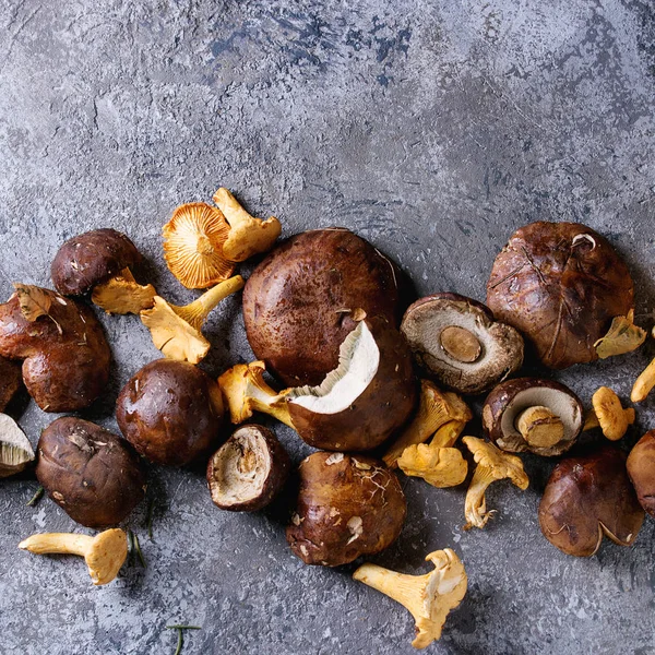 Porcini boletus and chanterelles mushrooms — Stock Photo, Image