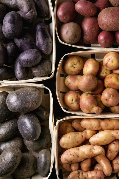 Variety of raw potatoes — Stock Photo, Image