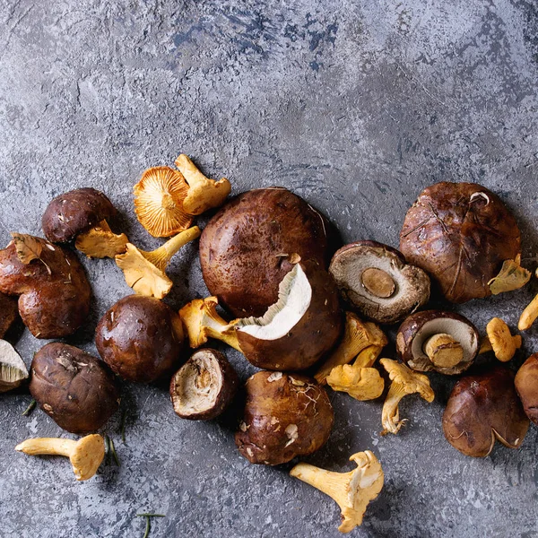 Porcini boletus and chanterelles mushrooms — Stock Image Porcini boletus and chanterelles mushrooms Royalty Free Stock Photos