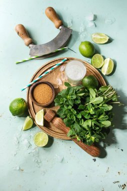 Mojito için gerekenler