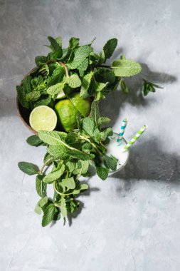 Hindistan cevizi mojito kokteyller