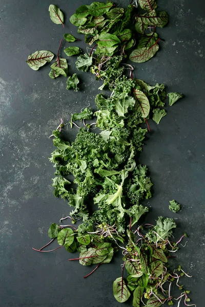 Yeşil salata karışımı — Stok fotoğraf
