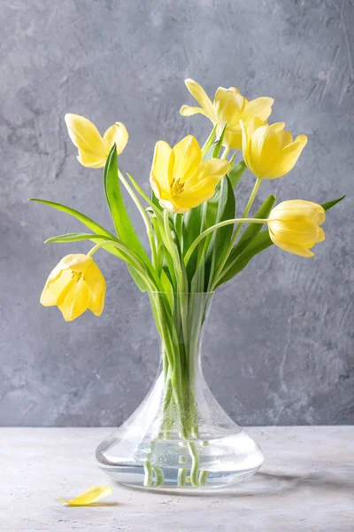 Bouquet of yellow tulips — Stock Photo, Image