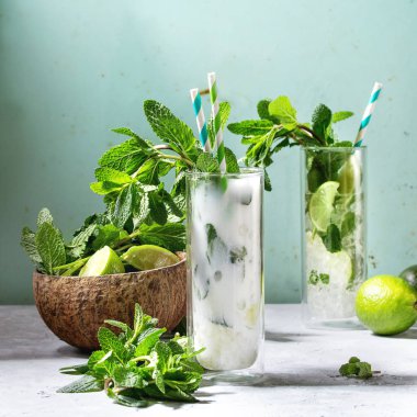 Klasik ve Hindistan cevizi sütü mojito taze nane, limon, ezilmiş buz, yukarıdaki malzemelerle retro kokteyl tüpler ile kokteyl iki kadeh. Pin tarzı, güneş ışığı, yeşil renkli. Kare görüntü