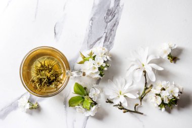 Cam fincan yeşil çay bahar çiçekleri beyaz Manolya ve beyaz mermer doku arka plan üzerinde kiraz çiçek açan dalları ile. Üstten Görünüm, kopya alanı.