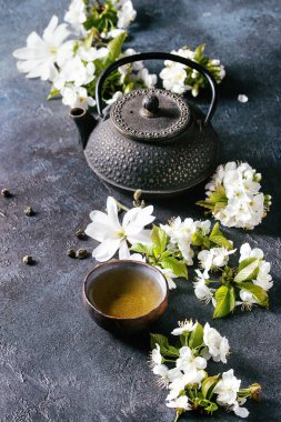 Geleneksel seramik fincan yeşil çay ile siyah demir demlik, bahar çiçekleri Manolya ve kiraz çiçek açan dalları koyu mavi doku arka plan üzerinde beyaz. Kopya alanı.