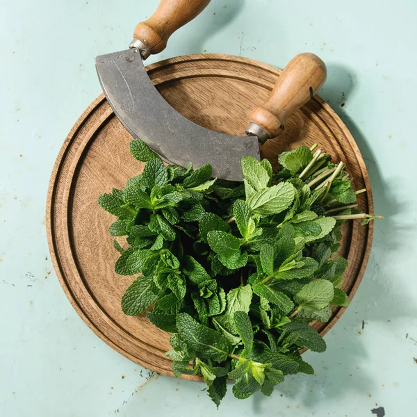 Bundle Fresh Mint Vintage Herbs Cutter Wooden Board Green Pin — Stock Photo, Image