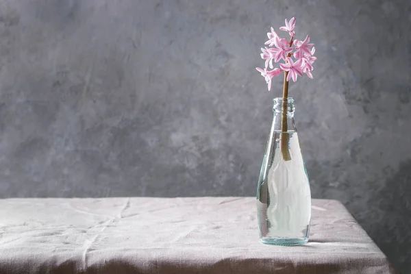 Frühjahrsblühende Rosa Hyazinthe Blauer Glasflasche Auf Tisch Mit Tischdecke Aus — Stockfoto