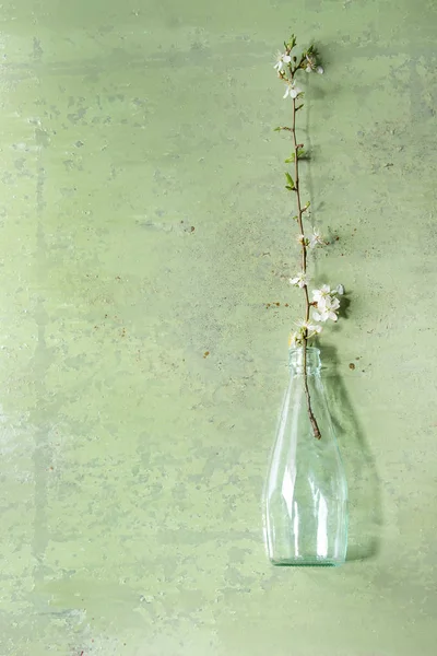 Spring White Pear Blooming Branch Blue Glass Bottle Green Pastel — Stock Photo, Image
