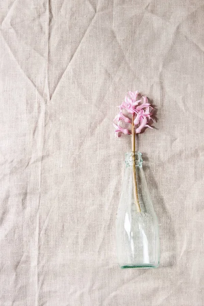 Spring Blooming Pink Hyacinth Blue Glass Bottle Table Linen Tablecloth — Stock Photo, Image