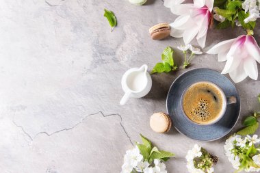 Siyah espresso kahve, Fransız tatlı macaroons, krem ve bahar çiçekleri Manolya, çiçeklenme kiraz dallar gri doku arka plan üzerinde mavi fincan. Üstten Görünüm alanı. Bahar tebrik kartı, duvar kağıtları