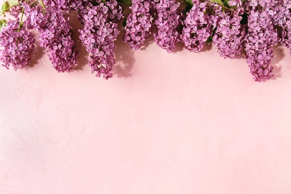 Lilac flowers over pink — Stock Photo, Image