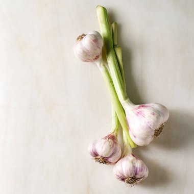 Genç bahçe sarımsak Demeti