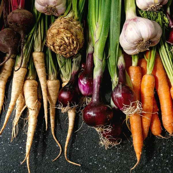 Variedad de hortalizas de raíz — Foto de Stock