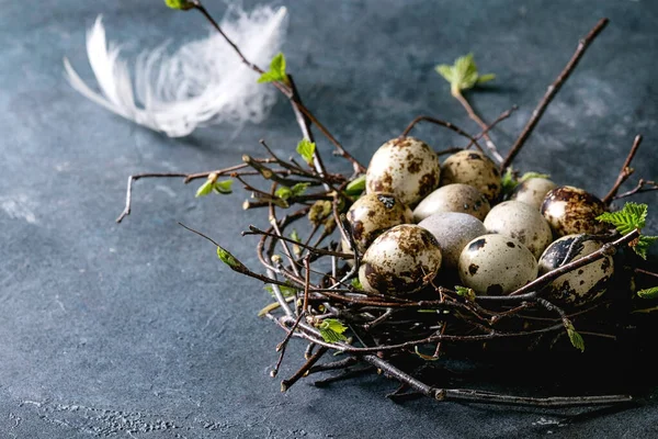 Quail Easter eggs in nest — Stock Photo, Image