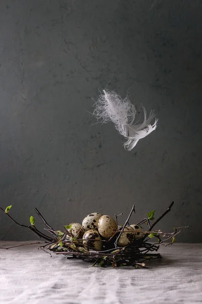 Quail Easter eggs in nest — Stock Photo, Image