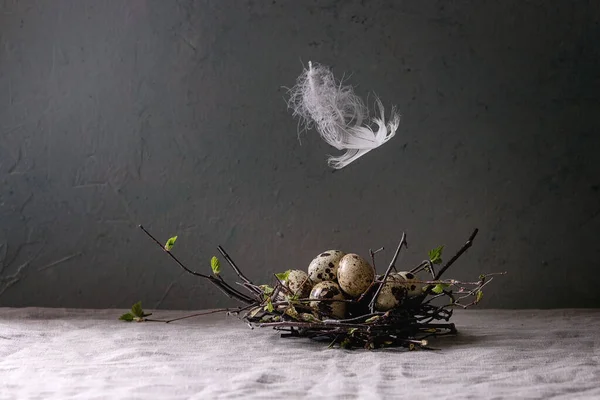Bıldırcın yumurta yuvada — Stok fotoğraf