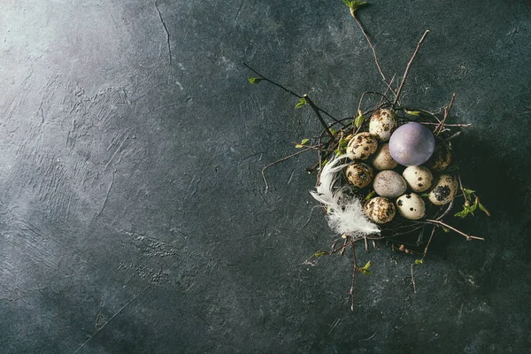 Œufs de Pâques de caille dans le nid — Photo