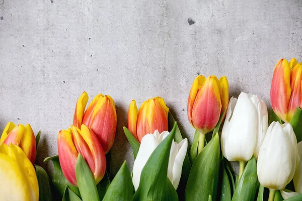 Разнообразие цветов тюльпанов — стоковое фото