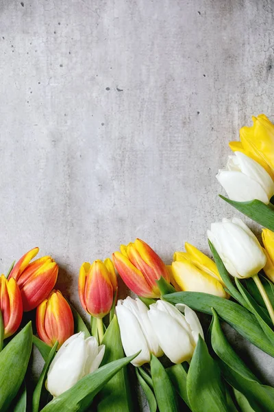 Variedad de flores de tulipanes —  Fotos de Stock