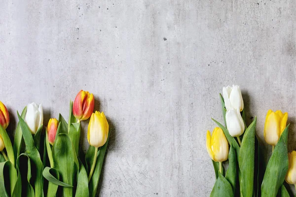 Variedad de flores de tulipanes — Foto de Stock