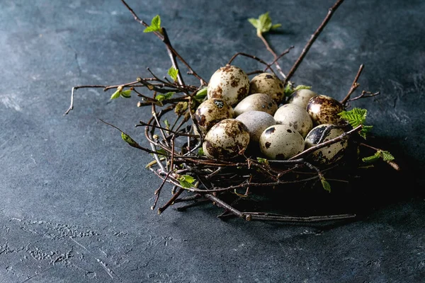 Uova di Pasqua di quaglia in nido — Foto Stock