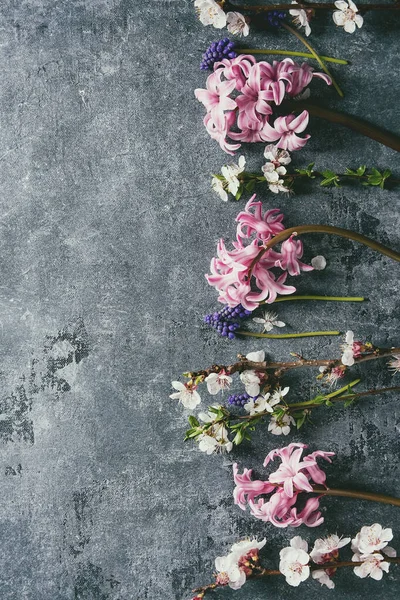 Flores de flor de primavera — Fotografia de Stock