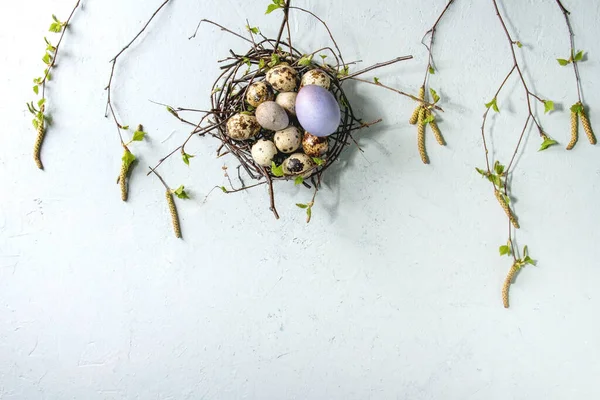 Huevos de codorniz en el nido — Foto de Stock