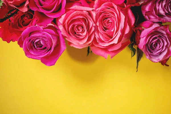 Creative Layout Beautiful Pink Roses Flowers Bright Yellow Background Flat — Stock Photo, Image