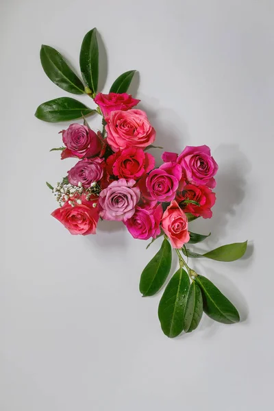 Diseño Creativo Con Hermosas Rosas Rosas Flores Hojas Verdes Sobre — Foto de Stock