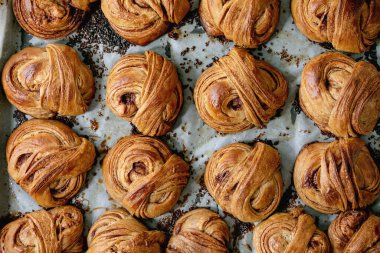 Taze pişmiş geleneksel İsveç tarçınlı tatlı çörekler fırın tepsisinin üzerinde kağıt pişirerek Kanelbulle.