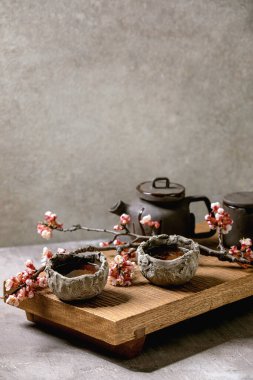 Tea drinking wabi sabi japanese style dark clay cups and teapot on wooden tea table with blooming cherry branches. Grey texture concrete background. clipart