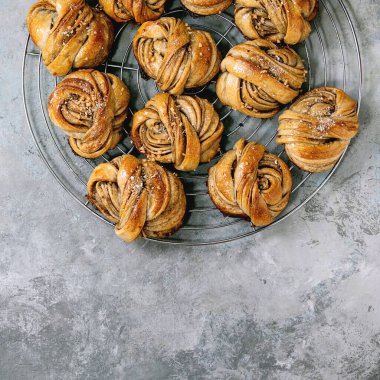 Geleneksel İsveç kakule tatlı çörekleri serinletici rafta gri beton doku arka planında. Düz uzanış, boşluk