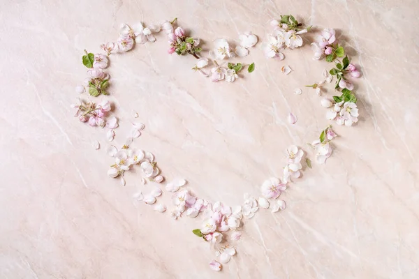 Flat Lay Spring Apple Blooming Flowers Petals Heart Shape Pink — Stock Photo, Image