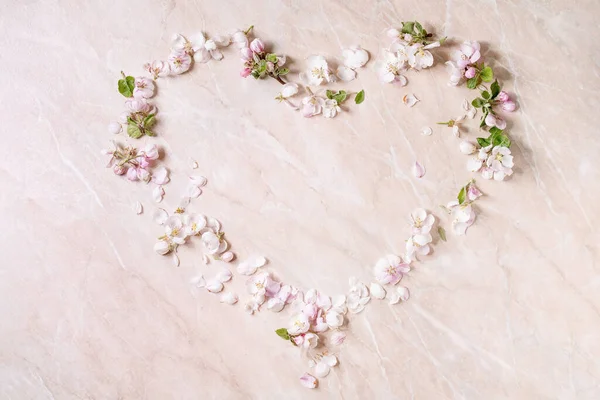 Colocación Plana Flores Pétalos Manzana Primaveral Forma Corazón Sobre Fondo —  Fotos de Stock