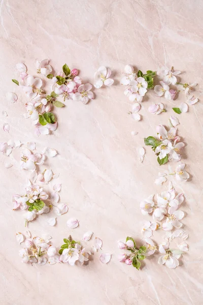 Flat Lay Spring Apple Blooming Flowers Petals Border Frame Pink — Stock Photo, Image