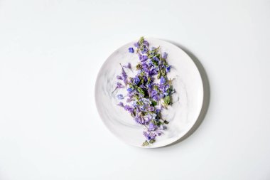 Beyaz arka planda mor, yenilebilir çiçekler. Düz uzanış, boşluk
