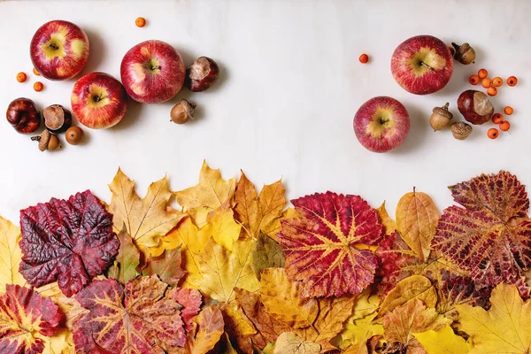 Verschiedene Rote Und Gelbe Herbstblätter Mit Äpfeln Und Kastanien Auf — Stockfoto