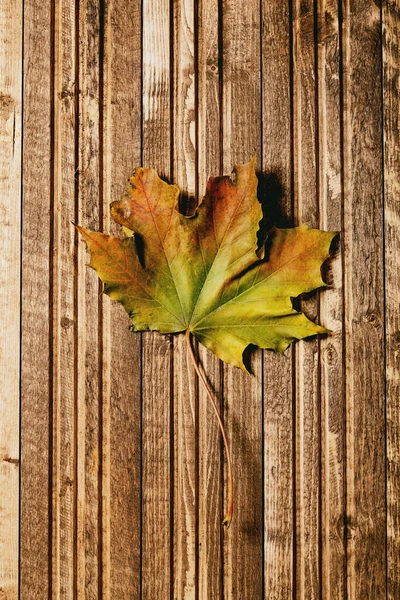 Einzelnes Gelbes Herbst Ahornblatt Auf Holzplanke Hintergrund Flach Lag Kreativer — Stockfoto